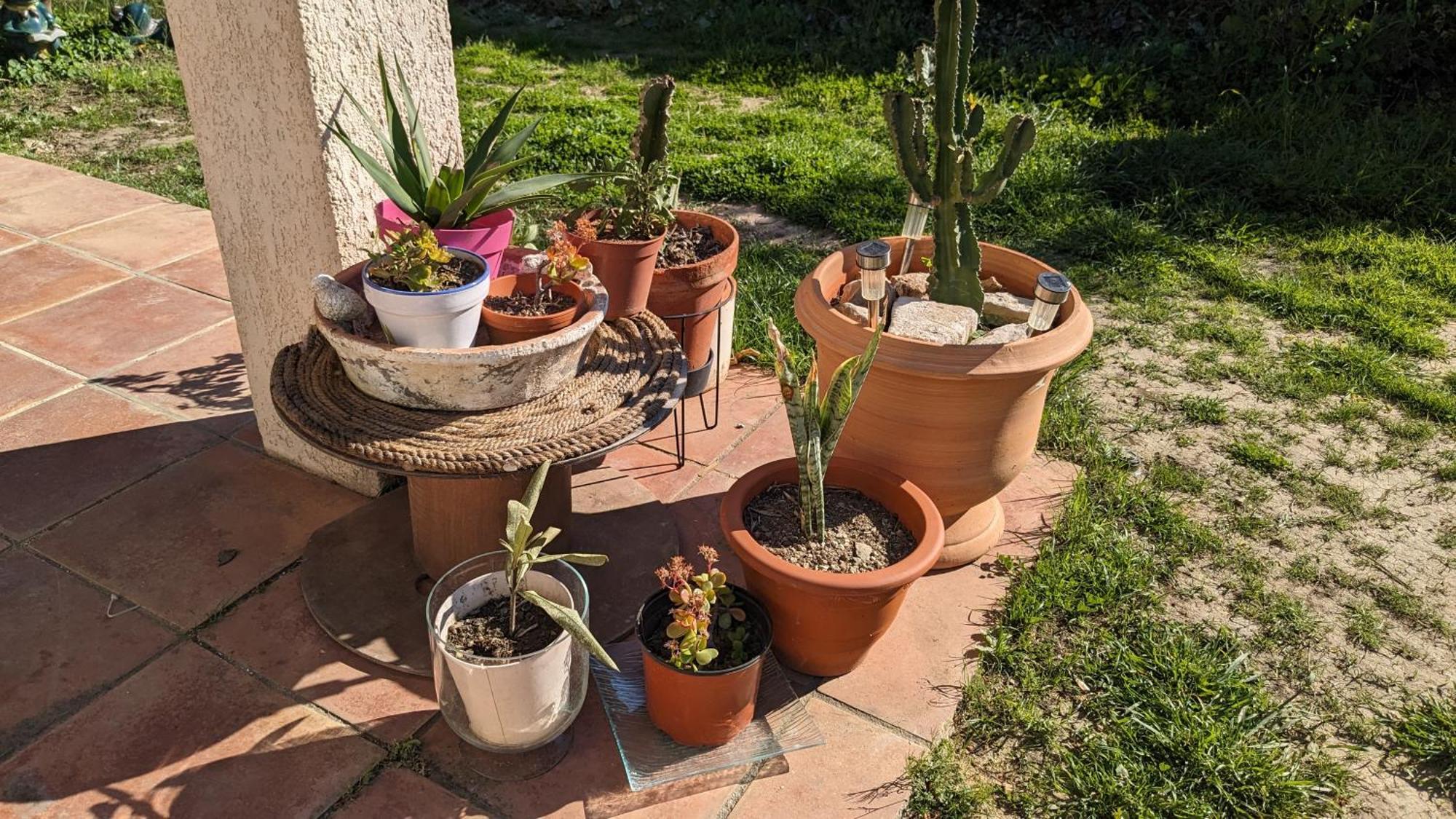 Maisonnette Kalis Calme Avec Climatisation Parking Jardin Cadre Campagne Plages A Pieds Bandol Exterior photo