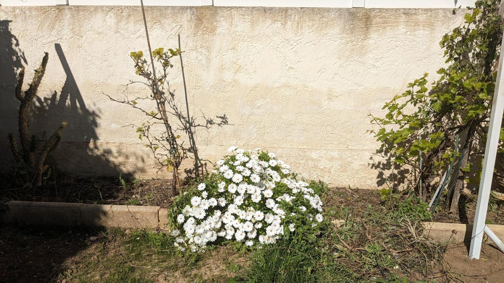 Maisonnette Kalis Calme Avec Climatisation Parking Jardin Cadre Campagne Plages A Pieds Bandol Exterior photo